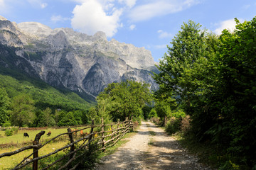 Valley of Theth with a dirt road in the dinaric alps in Albania - 307902122