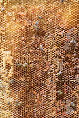 Closeup of a honeycomb