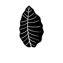 silhouette of leaf nature tropical isolated icon vector illustration design