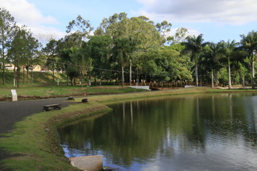 lake in the park