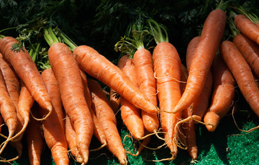Fresh Carrots on a Market Stall