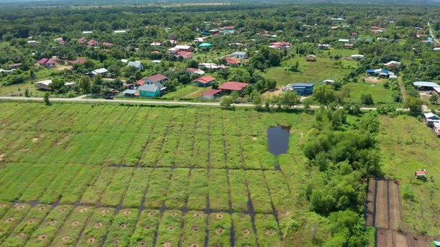 4K aerial footage of Beautiful rural landscape view on Shahbandar Tuaran, Sabah, Malaysia