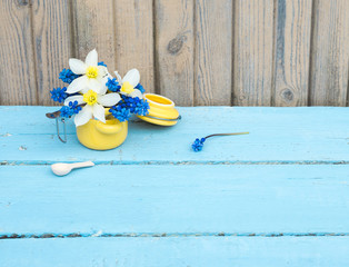 Spring Flowers. Bouquet of Narcissus or Daffodil and Muscari flowers on Vintage blue wooden background. Copy space