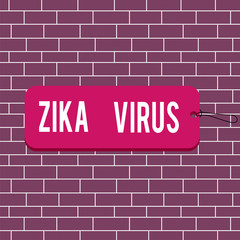 Fototapeta premium Text sign showing Zika Virus. Business photo text caused by a virus transmitted primarily by Aedes mosquitoes Label tag badge rectangle shaped empty space string colorful background