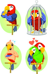 parrot set