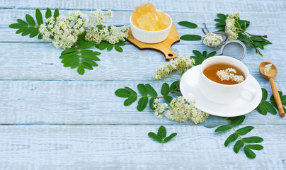Healthy Herbal Flower tea. Tea cup with Rowan Flowers (Sorbus aucuparia), leaves and Crystal Sugar on wooden table. Herbal Medicine. Phytotherapy Medicinal Herbs. Copy space