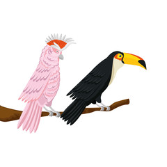 parrot pink with toucan on branch isolated icon vector illustration design