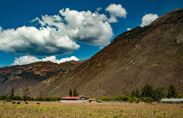 Snowy mountains with blue sky and white clouds, big hills with green pastures.