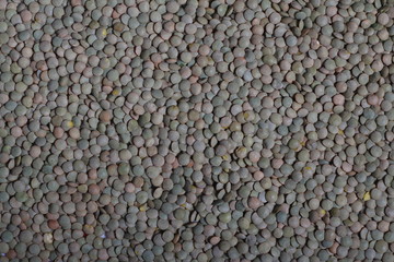 Close up of dried green lentils. Green lentils pattern as background.