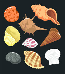 seashell cartoon set