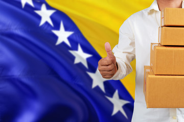 Bosnia Herzegovina real estate sale concept. Wooden house model with discount tag on national flag...