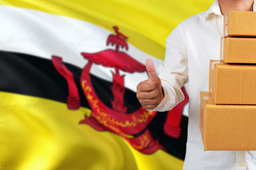 Brunei real estate sale concept. Wooden house model with discount tag on national flag background. Copy space for text.