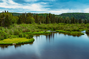 Fototapeta na wymiar Wild lake view in forest from north america
