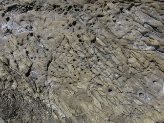 Texture of a sedimentary limestone rock with holes
