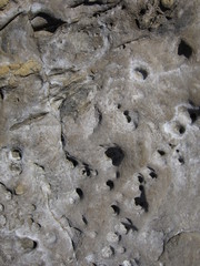 Limestone rocks with salt near Mediterranean sea