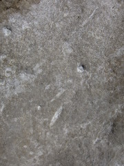 Texture of a sedimentary limestone rock with cracks  