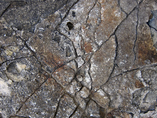 Texture of a sedimentary limestone rock with cracks     