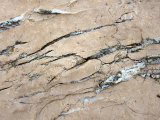 Texture of a sedimentary limestone rock with cracks  
