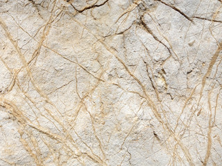 Texture of a sedimentary limestone rock with cracks and veins 