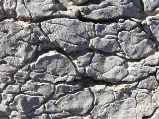 Texture of a sedimentary limestone rock with cracks     