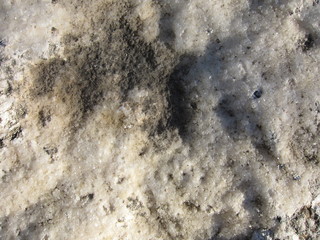 Texture of a sedimentary limestone rock with small crystals     