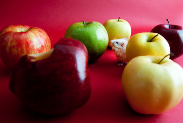 Conceptual image of mouse and apple