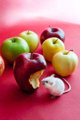 Conceptual image of mouse and apple