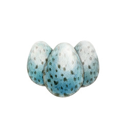 Bird eggs watercolor illustration. Hand drawn group of close up realistic organic eggs with spots. Traditional Easter symbol. Natural ingredient and element isolated on white background.