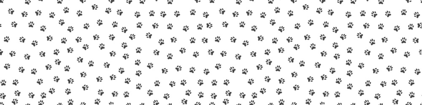 Paw Print Backgrounds Images – Browse