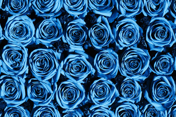 Flowers background. Roses bouquet, top view. Color of the year 2020 classic blue toned. Greeting card.