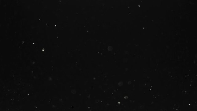 particles on black background, abstract overlay with particles and bokeh