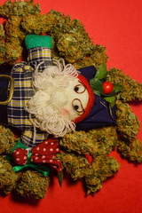 Christmas Santa Claus doll surrounded by dried cannabis flowers celebrating the new year  on red background