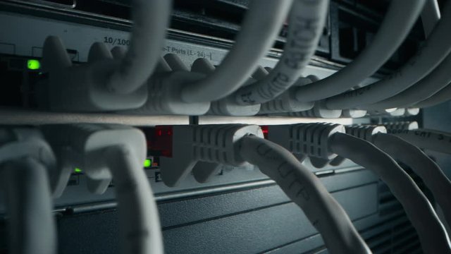 Close-up Macro Shot Ethernet Cables Connected to Router Ports with Blinking Lights. Telecommunications: RJ45 Device Connectors Plugged into Modem Hubs. Secure Data Center. Camera Moving Between Cables