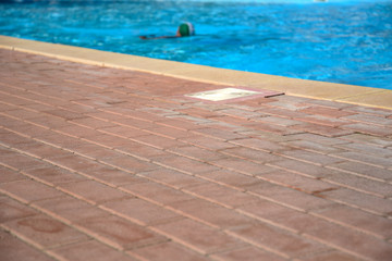 Swimming Pool by Morning at Summer