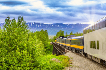Trein gaat op een spoorlijn naar Denali National Park Alaska