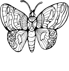 Illustration with butterfly, graphic style. Flying and inspiration.