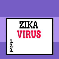 Conceptual hand writing showing Zika Virus. Concept meaning caused by a virus transmitted primarily by Aedes mosquitoes Close up view big blank rectangle abstract geometrical background