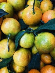 Processed with VSCO with a6 preset fruit