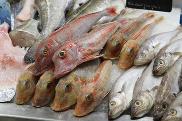 Frozen fish at fish market in Le Treport, Normandy, Northern France