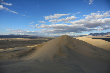 sand dunes in the desert