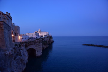 Vieste Seascape by Night with Illuminated City View