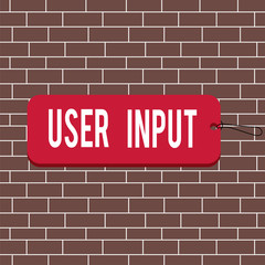 Text sign showing User Input. Business photo text Any information or data that is sent to a computer for processing Label tag badge rectangle shaped empty space string colorful background