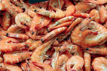 Pile of pink cooked shrimps at the fish market in Le Treport, Normandy, Northern France.