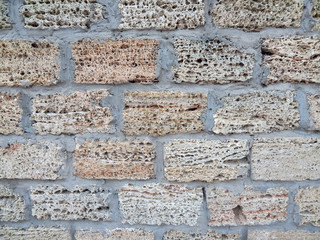 Background wall with shell rock. Old wall. Texture limestone. Texture