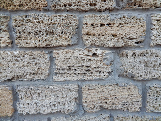 Background wall with shell rock. Old wall. Texture limestone. Texture