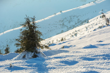 Arctic winter weather with hikers on a mountain ridge, on a sunny clear day, with beautiful snow-white mountains.