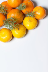 Mandarins are laid out on a white surface. Between them are branches of blue spruce. On white background.