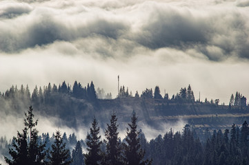 Der Blick von den Höhen der Berge und Wälder bedeckt von Nebel