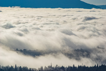 The view from the heights of the mountains and forests covered by fog