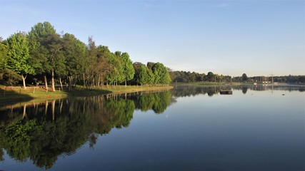 Reflejo de los árboles del bosque del lago al amanecer